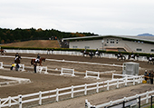Gotenba Horsemanship and Sports Center