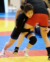 レスリング、吉田が率先して練習 女子日本代表の熊本合宿