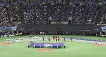 「プレミア１２」が五輪予選に １９年、２次Ｒから日本開催