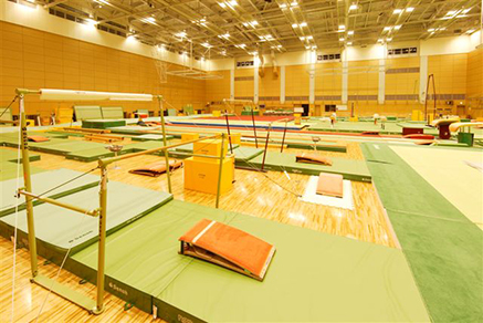 屋内トレーニングセンター体操・体操競技画像01