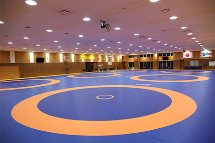 Indoor training center Wrestling01