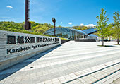 Karuizawa Ice Park