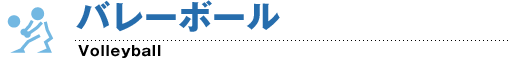 バレーボール