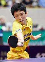 卓球、張本と伊藤が初優勝 荻村杯ジャパン・オープン