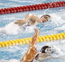 ア大会、池江が２種目で首位通過 第３日、２００個メは萩野トップ