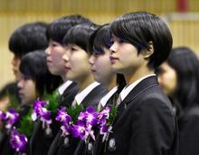 女子柔道、阿部詩が卒業 兄と同じ日体大に進学