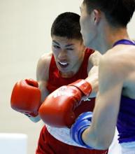 ボクシング五輪予選の準決勝実施 成松、鈴木らが決勝進出