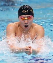 男子４００個人メドレーは井狩 競泳の東京都オープン、池江３位