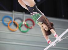 体操、村上が３度目Ｖで五輪切符 畠田瞳、平岩、杉原も代表入り