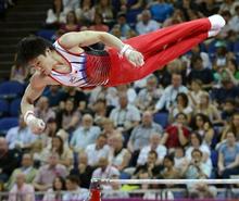 日本、団体５位で決勝へ 体操・２８日