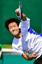 日本、男女団体で銅メダル以上 アジア大会テニス