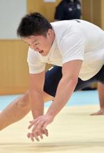 柔道、男子代表が強化合宿 原沢「金メダルを取る」