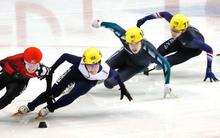 ショート、吉永ら平昌五輪確実 女子の菊池純も、全日本選手権