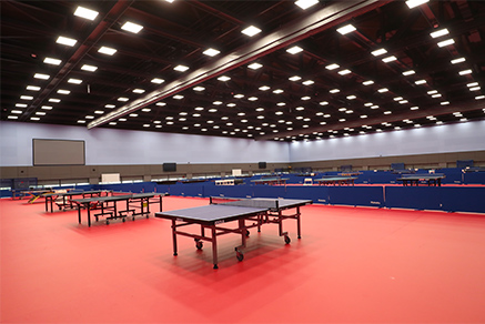 41 HQ Photos Table Tennis Center Near Me - 2012 Olympics U S Table Tennis Team Has Diverse Origins The New York Times