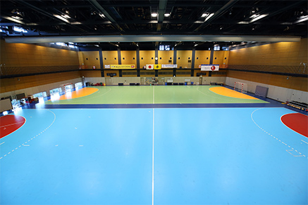 Indoor training center Handball thumb01